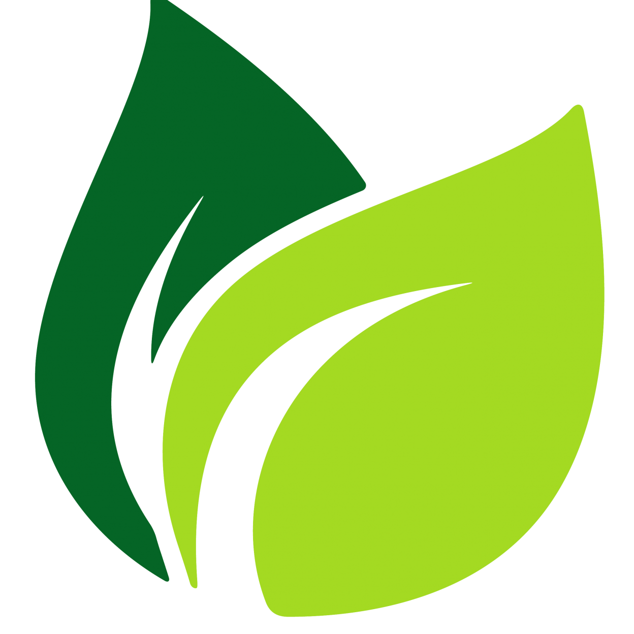 Logo 4